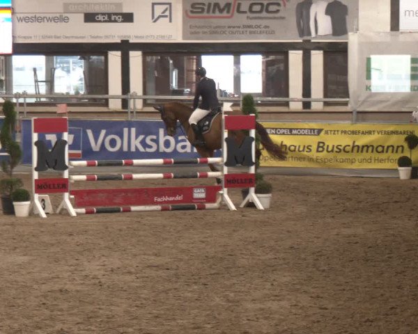 Reitturnier Vlotho-Exter 2024