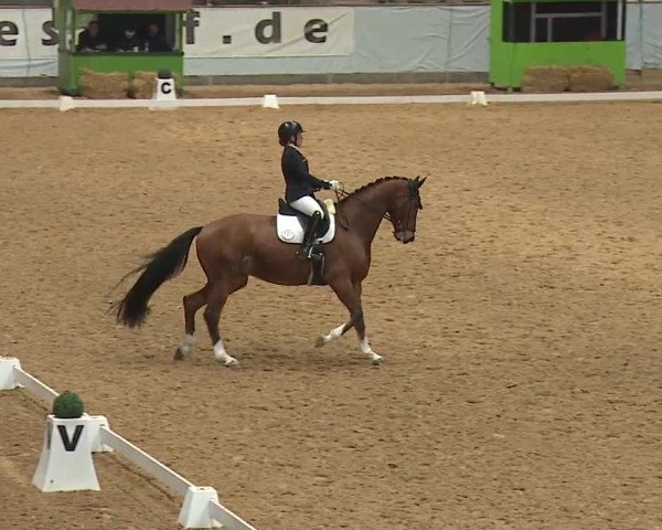 Reitturnier Kreuth/Opf. 2024