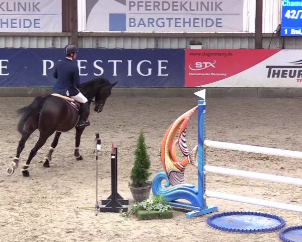 6. Nordic Jumping event Negernbötel 2024