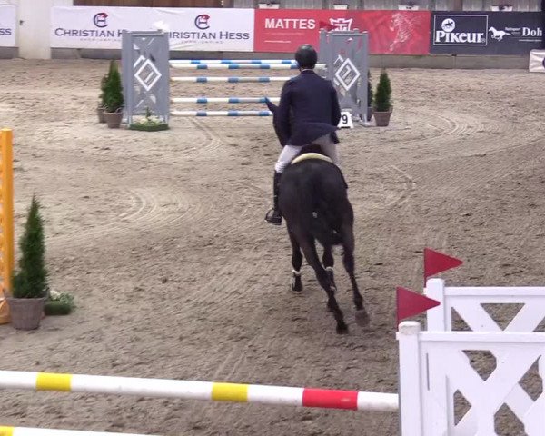 6. Nordic Jumping event Negernbötel 2024