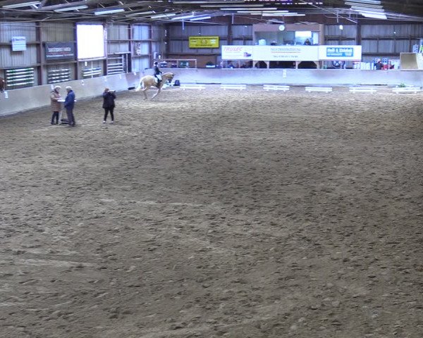 Reitturnier Springe 2024