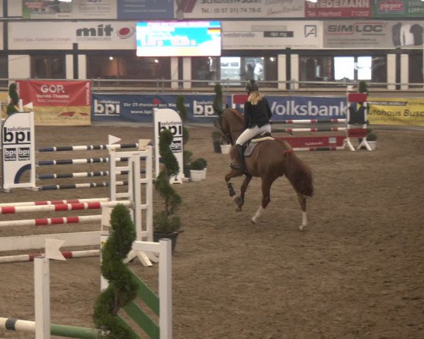 Reitturnier Vlotho-Exter 2024
