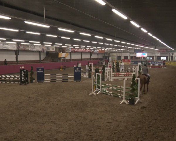 Reitturnier Vlotho-Exter 2024