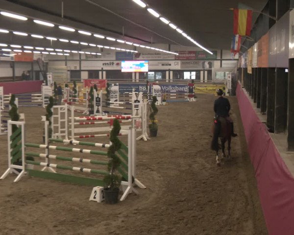 Reitturnier Vlotho-Exter 2024