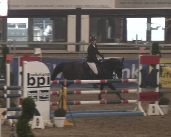 Reitturnier Vlotho-Exter 2024