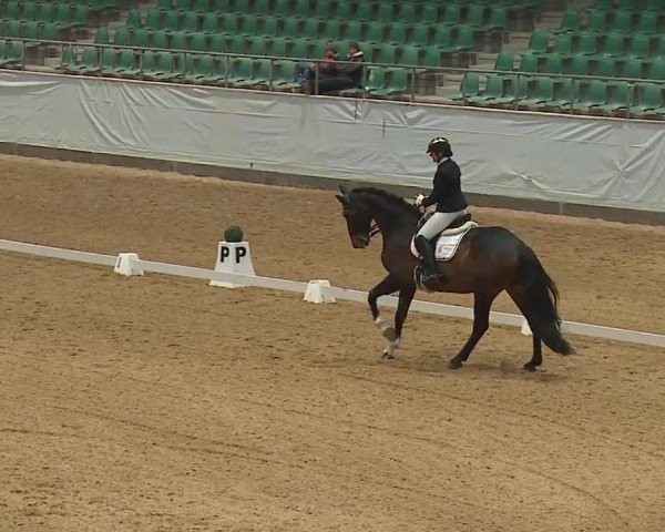 Reitturnier Kreuth/Opf. 2024