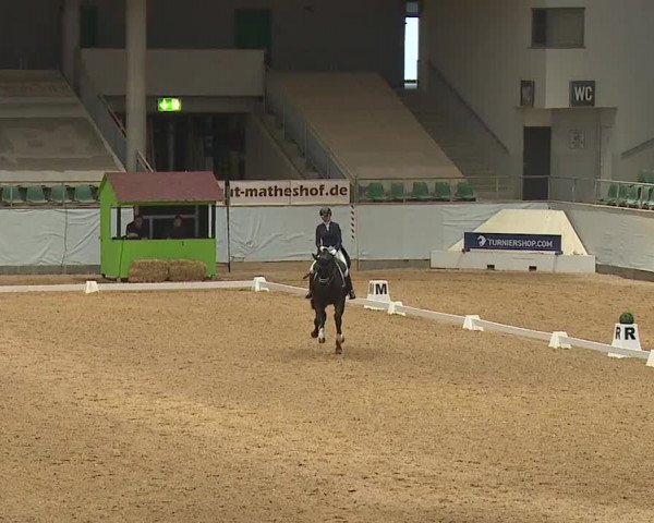 Reitturnier Kreuth/Opf. 2024