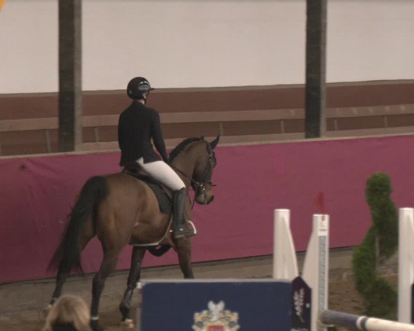 Reitturnier Vlotho-Exter 2024