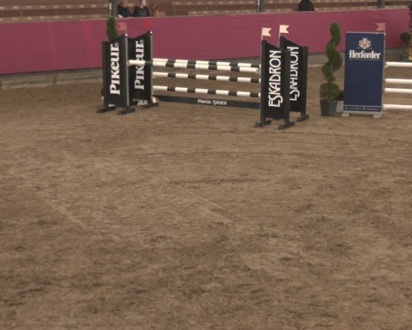 Reitturnier Vlotho-Exter 2024