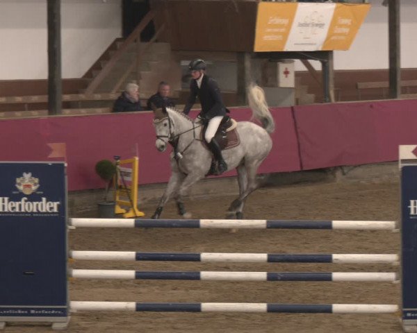 Reitturnier Vlotho-Exter 2024