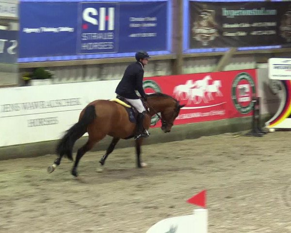 6. Nordic Jumping event Negernbötel 2024