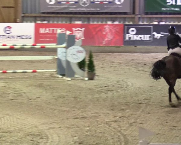 6. Nordic Jumping event Negernbötel 2024