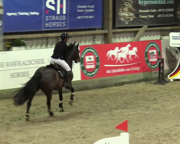 6. Nordic Jumping event Negernbötel 2024