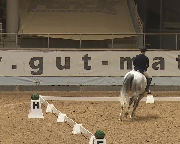 Reitturnier Kreuth/Opf. 2024