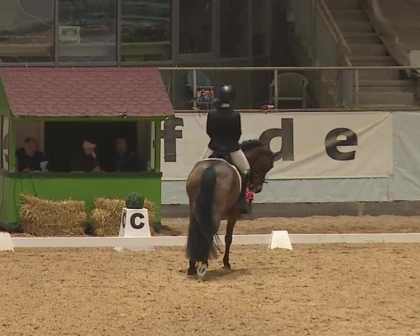Reitturnier Kreuth/Opf. 2024