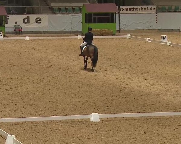 Reitturnier Kreuth/Opf. 2024
