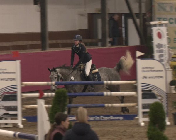 Reitturnier Vlotho-Exter 2024