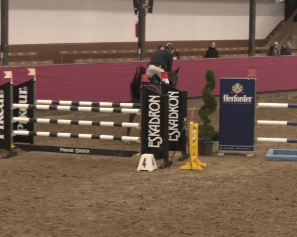 Reitturnier Vlotho-Exter 2024