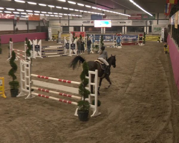 Reitturnier Vlotho-Exter 2024