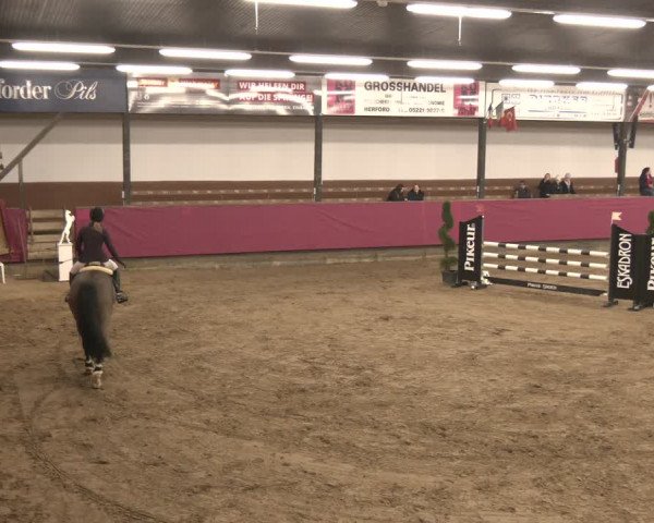 Reitturnier Vlotho-Exter 2024