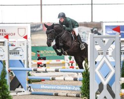 broodmare Better Call Rosie (German Riding Pony, 2018, from Pav New York)
