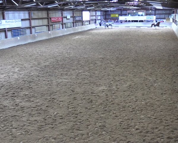 Reitturnier Springe 2024