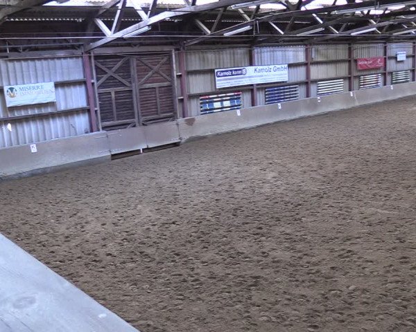 Reitturnier Springe 2024