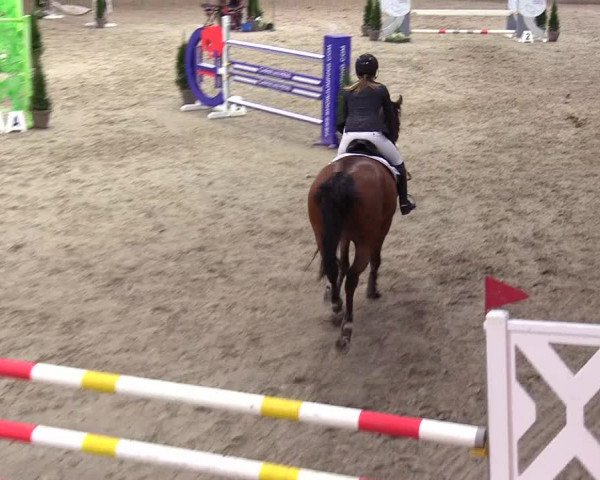 6. Nordic Jumping event Negernbötel 2024