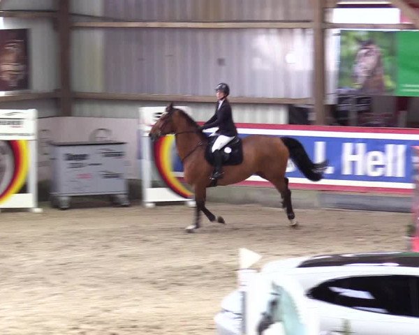 6. Nordic Jumping event Negernbötel 2024