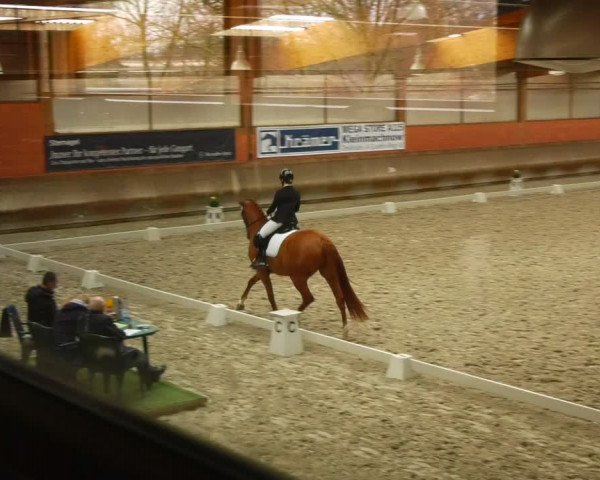 Reitturnier Tremsdorf, Eichenhof 2024