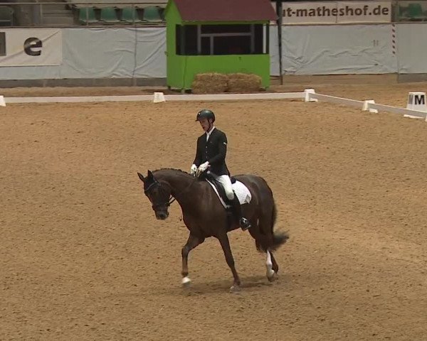 Reitturnier Kreuth/Opf. 2024