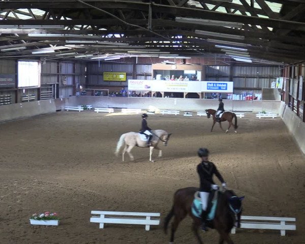 Reitturnier Springe 2024