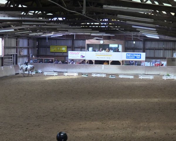 Reitturnier Springe 2024