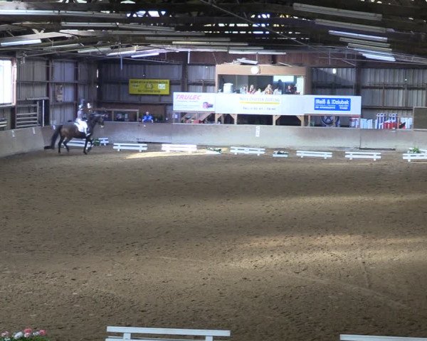 Reitturnier Springe 2024