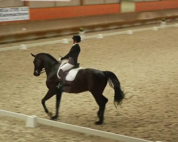 Reitturnier Tremsdorf, Eichenhof 2024