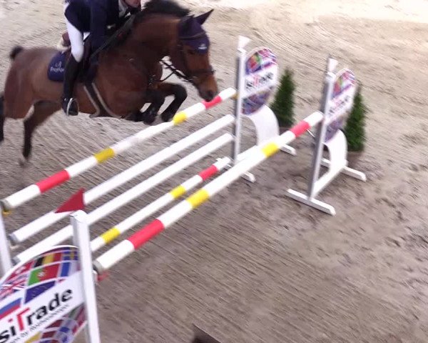 6. Nordic Jumping event Negernbötel 2024