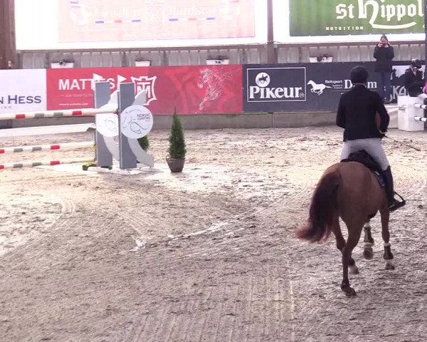 6. Nordic Jumping event Negernbötel 2024