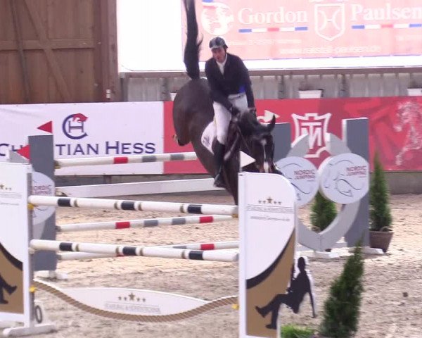 6. Nordic Jumping event Negernbötel 2024