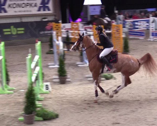 6. Nordic Jumping event Negernbötel 2024