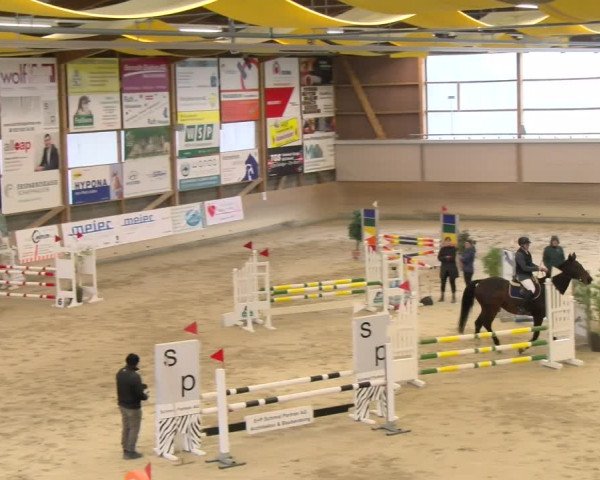 Reitturnier Schaffhausen 2024