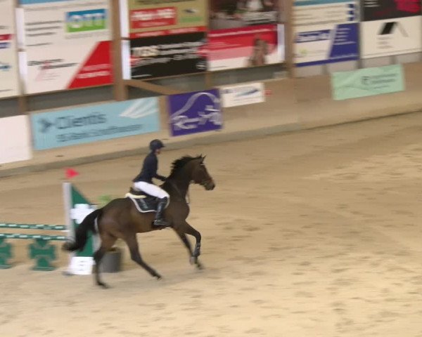Reitturnier Schaffhausen 2024