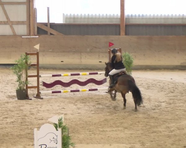 Reitturnier Schaffhausen 2024