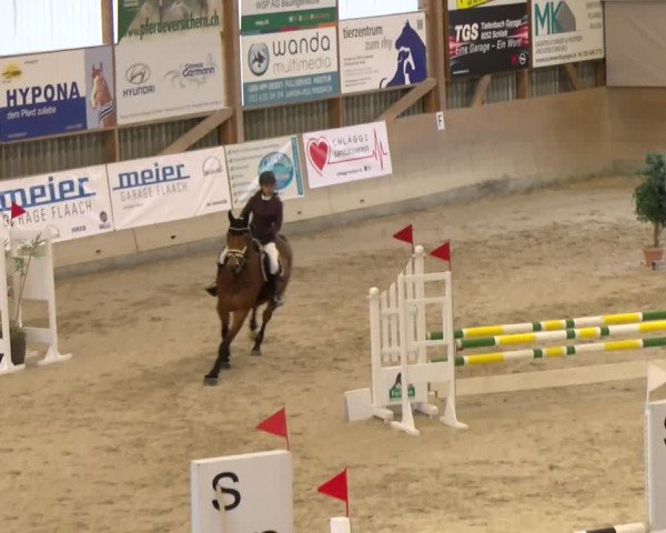 Reitturnier Schaffhausen 2024