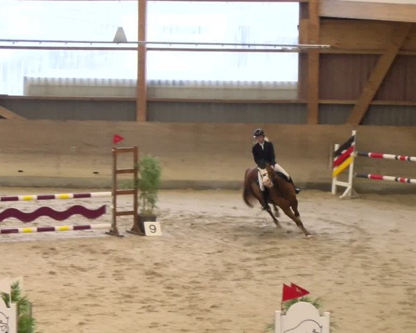 Reitturnier Schaffhausen 2024
