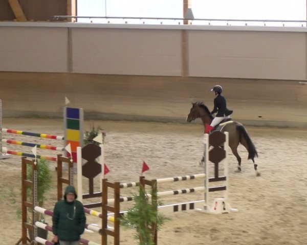 Reitturnier Schaffhausen 2024