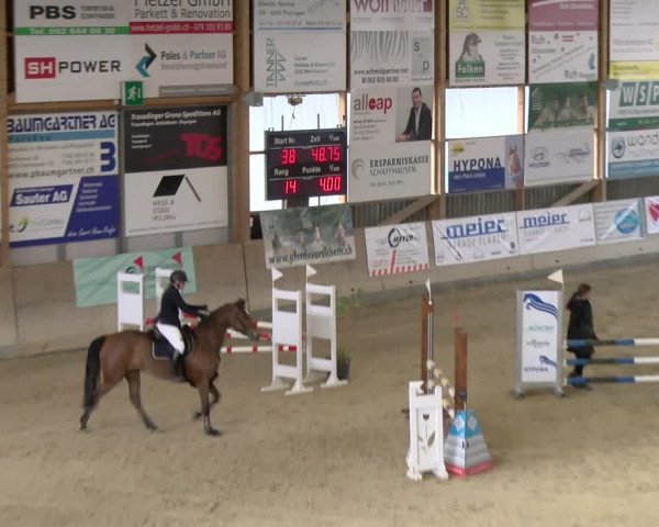 Reitturnier Schaffhausen 2024