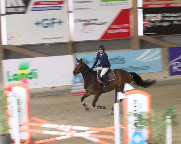 Reitturnier Schaffhausen 2024