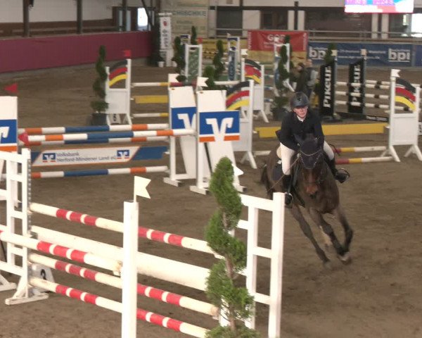 Reitturnier Vlotho-Exter 2024