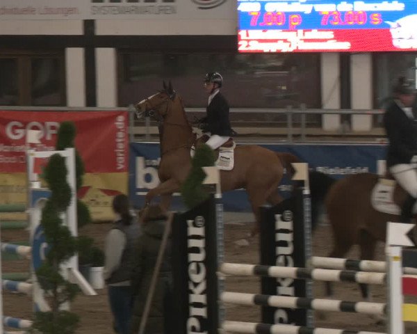 Reitturnier Vlotho-Exter 2024
