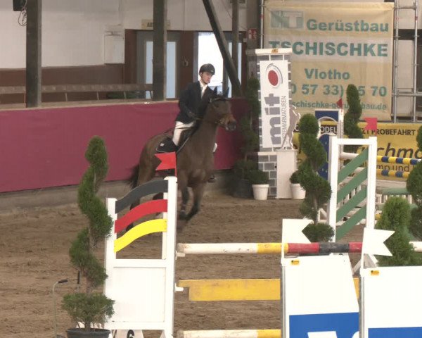 Reitturnier Vlotho-Exter 2024